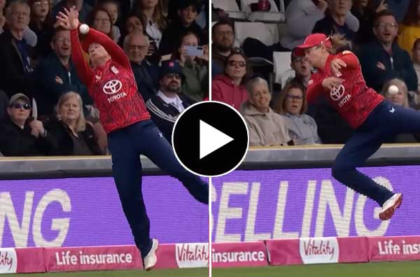 Watch Video: Danielle Wyatt-Hodge's spectacular attempt to save a boundary against West Indies